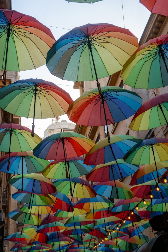 our-story Free stock photo of 19th century architecture, 20th century architecture, bucharest